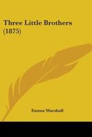 Three Little Brothers 0469009292 Book Cover