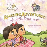 The Amazing Adventures of Little Right Sock 1684017904 Book Cover