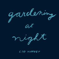 Gardening at Night 905330844X Book Cover