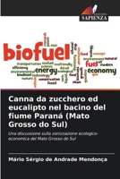 Canna da zucchero ed eucalipto nel bacino del fiume Paraná (Mato Grosso do Sul) 6207316622 Book Cover