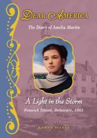 A Light in the Storm: the Civil War Diary of Amelia Martin