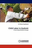 Child Labor in Kashmir: A case study of District Srinagar 3844306374 Book Cover