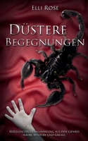 Düstere Begegnungen: Kurzgeschichtensammlung aus den Genres Krimi, Mysterie umd Grusel 3752692294 Book Cover
