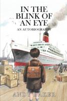 In the Blink of an Eye 1035894696 Book Cover