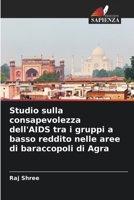 Studio sulla consapevolezza dell'AIDS tra i gruppi a basso reddito nelle aree di baraccopoli di Agra (Italian Edition) 6207661214 Book Cover