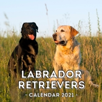 Labrador Retrievers: 2021 Wall Calendar, Cute Gift Idea For Labrador Lovers Or Owners Men And Women B08QWZPR79 Book Cover