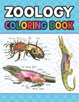 Zoology Coloring Book: Learn The Zoology & Enhance Your Practice. The New Surprising Magnificent Learning Structure For Zoology Students. Dog Cat ... book. Vet tech & Zoology Coloring Books. B08R1GQF4X Book Cover