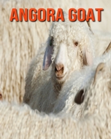 Angora Goat: Amazing Pictures and Facts About Angora Goat B08KH3S1LV Book Cover