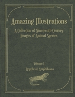 Amazing Illustrations: A Collection of Nineteenth-Century Images of Animal Species. Copyright-free illustrations. B08SBDL5LY Book Cover