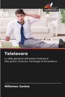 Telelavoro (Italian Edition) 6209971687 Book Cover