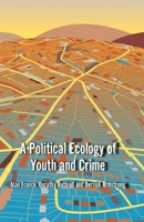 A Political Ecology of Youth and Crime 1349327735 Book Cover