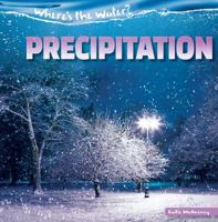 Precipitation 1482446847 Book Cover