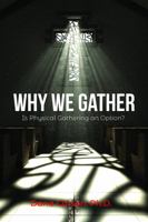 Why We Gather: Is Physical Gathering an Option? B09GXPHQ9P Book Cover