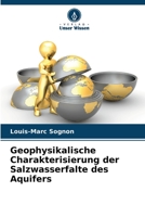 Geophysikalische Charakterisierung der Salzwasserfalte des Aquifers 6205918919 Book Cover
