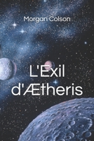 L'Exil d'Ætheris (French Edition) B0DXD8N3ZX Book Cover