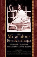 The Miraculous 16th Karmapa 8878341339 Book Cover
