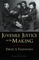 Juvenile Justice in the Making (Studies in Crime and Public Policy) 0195306503 Book Cover