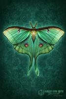 Damask Luna Moth Journal 1482717247 Book Cover