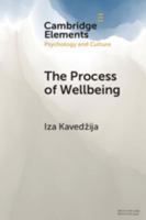 The Process of Wellbeing 110894082X Book Cover