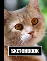 Sketchbook: Beautiful Cat Cover Design | White Paper | 120 Blank Unlined Pages | 8.5" X 11" | Matte Finished Soft Cover 171325543X Book Cover