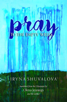 Pray to the Empty Wells 099919948X Book Cover