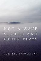 Not a Wave Visible and Other Plays 1456867997 Book Cover