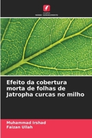 Efeito da cobertura morta de folhas de Jatropha curcas no milho (Portuguese Edition) 6207811755 Book Cover