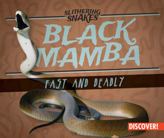 Black Mamba: Fast and Deadly (Slithering Snakes) 1978517696 Book Cover