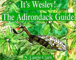 It's Wesley! the Adirondack Guide: The Adirondack Guide 0964119714 Book Cover