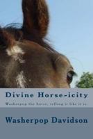 Divine Horse-icity: Washerpop the horse, telling it like it is. He calls a spade a spade alright. A 20th century Black Beauty on spiritual crack. Warning: you may not come out of the end of this book, 1546751122 Book Cover