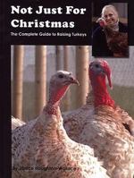 Not Just for Christmas 1904871186 Book Cover