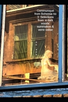 Communiqué from Bohemia no 3: Selections from: a dark woods’ summation & verre valise B0GTHW3S7B Book Cover