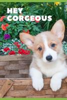 Hey Corgeous: Corgi School Notebook - Dog Breed Corgi - Spirit Animals - Corgi Butts - Adoption - Pets - Corgi Owners - Furry Paw Lover 1081969199 Book Cover