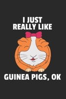 Meerschweinchen Notizbuch: Meerschweinchen Notizbuch für Liebhaber / Notizheft / Notizblock A5 (6x9in) Dotted Notebook / Punkteraster / 120 gepunktete Seiten (German Edition) 1671669231 Book Cover