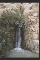 Transformed Pain: How God Makes it Good 0692964339 Book Cover