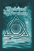 Behind the Numbers: Obsession and Fascination 1504337603 Book Cover