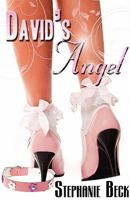 David's Angel 1616502517 Book Cover