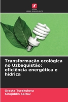 Transformação ecológica no Uzbequistão: eficiência energética e hídrica 6209706622 Book Cover