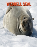 Weddell Seal: Beautiful Pictures & Interesting Facts Children Book About Weddell Seal B08M87RXX7 Book Cover