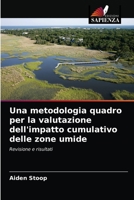 Una metodologia quadro per la valutazione dell'impatto cumulativo delle zone umide 620360433X Book Cover