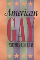 American Gay (Worlds of Desire: The Chicago Series on Sexuality, Gender, and Culture) 0226551911 Book Cover