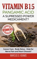 Vitamin B15 - Pangamic Acid: A Supressed Power Medicament?: Cancer Cure - Body Detox - Help for Nerve Pain and Heart Disease? 3753421251 Book Cover