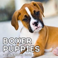 Boxer Puppies Calendar 2021: 16-Month Calendar, Cute Gift Idea For Boxer Dog Lovers Men & Women B094TGS6TW Book Cover