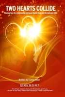 Two Hearts Collide: The Journey of a Relationship Between Daddy God and His Beloved Child 0692385126 Book Cover