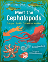 Meet the Cephalopods: Octopus, Squid, Cuttlefish, Nautilus