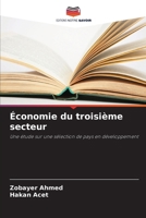 Économie du troisième secteur (French Edition) 6208022924 Book Cover