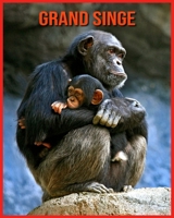 Grand Singe: Informations Intéressantes et Amusantes Concernant les Grand Singe B08WJY6GNB Book Cover