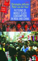 Patterns of Middle Class Consumption in India and China 0761936238 Book Cover