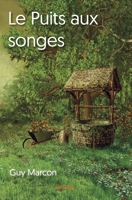 Le Puits aux songes (French Edition) 2334176869 Book Cover