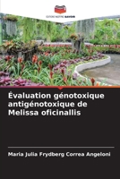 Évaluation génotoxique antigénotoxique de Melissa oficinallis 6207319915 Book Cover